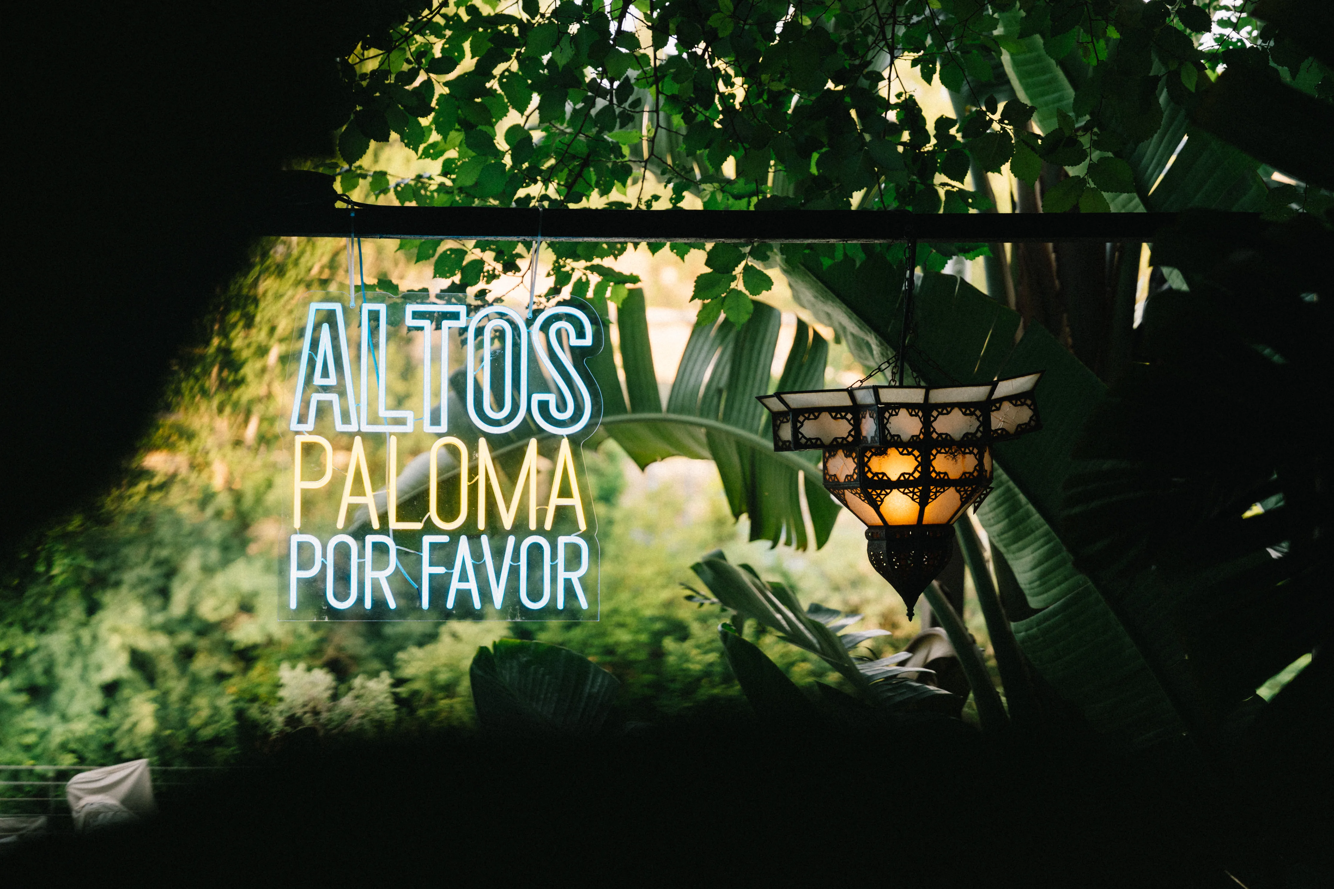 Altos Paloma Mi Amor — photo 8